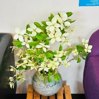 画像306
