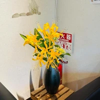 画像390