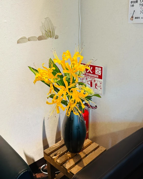 画像390