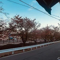 画像430