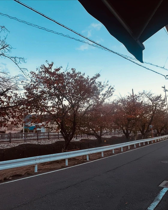 画像430