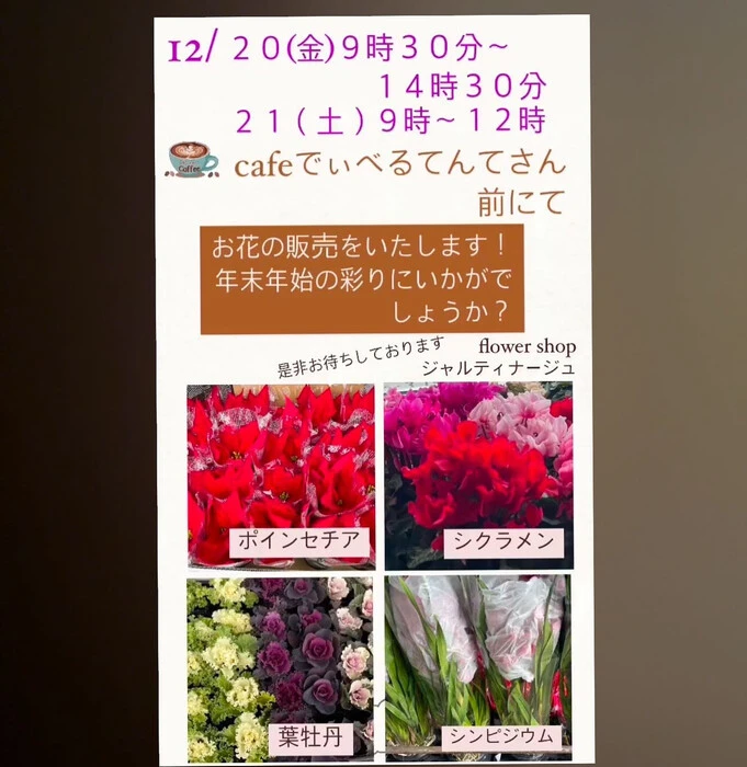 画像443