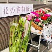 画像447
