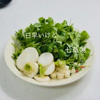 画像466