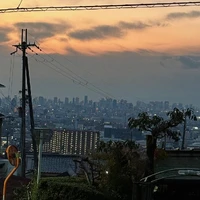 画像475