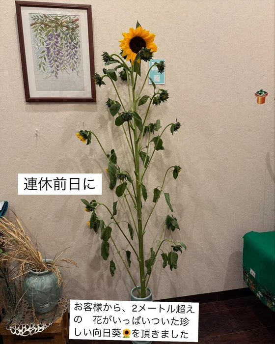 画像538