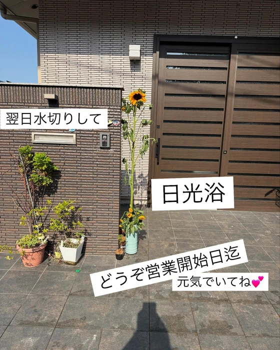 画像540