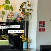 画像541