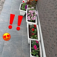 画像548