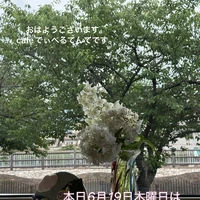 画像577