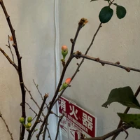 画像726