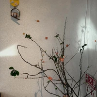 画像730