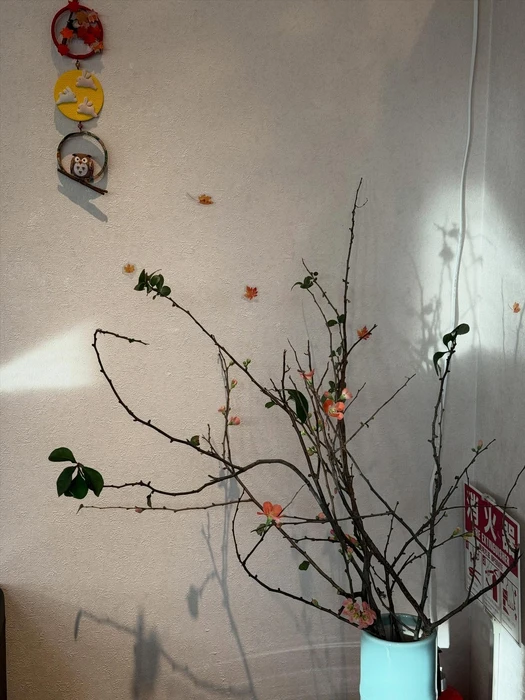 画像730