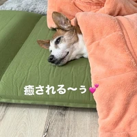 画像857