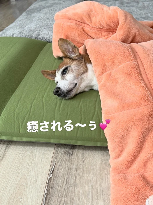 画像857